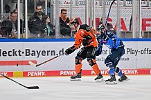 Eishockey, Herren, DEL, Saison 2023-2024, Spieltag 5, ERC Ingolstadt - Grizzlys Wolfsburg, 29.09.2023