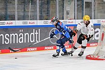 Eishockey, Herren, DEL, Saison 2023-2024, Spieltag 50, ERC Ingolstadt - Löwen Frankfurt, 01.03.2024