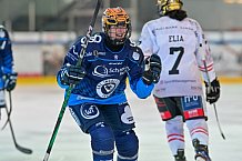 Eishockey, Frauen, DFEL, Saison 2024-2025, ERC Ingolstadt - ECDC Memmingen Indians, 19.01.2025