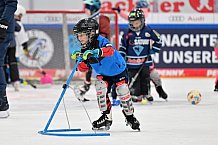 Eishockey, Herren, DEL, Saison 2023-2024, ERC Ingolstadt - Kids on Ice Day, 18.11.2023