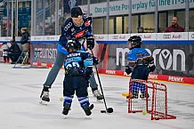 Eishockey, Herren, DEL, Saison 2024-2025, ERC Ingolstadt - Kids On Ice Day, 21.09.2024