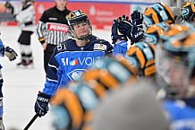 Eishockey, Frauen, DFEL, Saison 2023-2024, ERC Ingolstadt - Amsterdam Tigers, 06.01.2024