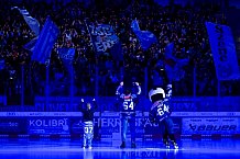 Eishockey, Herren, DEL, Saison 2025-2026, Spiel 44, ERC Ingolstadt - Dresdner Eislöwen, 27.01.2026