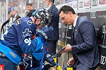 Eishockey, Herren, DEL, Saison 2024-2025, Spieltag 35, ERC Ingolstadt - Augsburger Panther, 10.01.2025