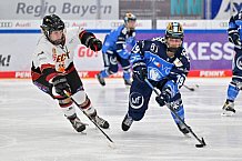 Eishockey, Frauen, DFEL, Saison 2023-2024, ERC Ingolstadt - EC Bergkamener Bären, 28.10.2023
