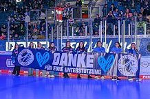 Eishockey, Herren, DEL, Saison 2024-2025, Spieltag 19, ERC Ingolstadt - Grizzlys Wolfsburg, 24.11.2024