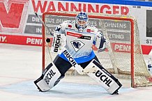 Eishockey, Herren, Gäuboden-Cup 2024, Straubing Tigers - ERC Ingolstadt, 29.08.2024