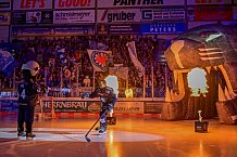 Eishockey, Herren, DEL, Saison 2024-2025, Spieltag 49, ERC Ingolstadt - Straubing Tigers, 28.02.2025