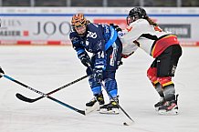 Eishockey, Frauen, DFEL, Saison 2024-2025, ERC Ingolstadt - EC Bergkamener Bären, 12.10.2024
