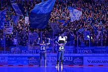 Eishockey, Herren, DEL, Saison 2024-2025, Spieltag 15, ERC Ingolstadt - Augsburger Panther, 03.11.2024