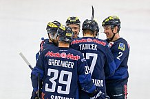 ERC Ingolstadt vs Hamburg Freezers, Eishockey, DEL, Deutsche Eishockey Liga, Spieltag 36, 10.01.2016, Foto: st-foto.de / Oliver STRISCH

