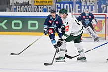 Eishockey, Mens, CHL, Season 2023-2024, ERC Ingolstadt - Färjestad Karlstad, 02.09.2023