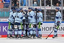 Eishockey, Herren, DEL, Saison 2023-2024, Spieltag 23, ERC Ingolstadt - Straubing Tigers, 01.12.2023