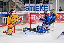 Eishockey, Herren, DEL, Saison 2023-2024, Spieltag 6, ERC Ingolstadt - Düsseldorfer EG, 01.10.2023