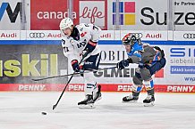 Eishockey, Herren, DEL, Saison 2023-2024, Spieltag 38, ERC Ingolstadt - Adler Mannheim, 14.01.2024