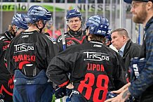 Eishockey, Herren, DEL, Saison 2024-2025, Spieltag 39, Straubing Tigers - ERC Ingolstadt, 24.01.2025
