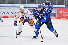 Eishockey, Herren, DEL, Saison 2026-2027, Testspiel, ERC Ingolstadt - EV Zug, 04.09.2026