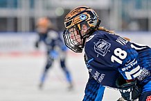 Eishockey, Frauen, DFEL, Saison 2024-2025, ERC Ingolstadt - ECDC Memmingen Indians, 16.11.2024