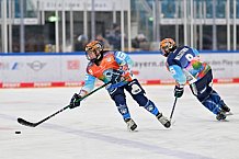 Eishockey, Frauen, DFEL, Saison 2024-2025, ERC Ingolstadt - EC Bergkamener Bären, 04.01.2025