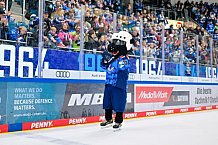 Eishockey, Herren, DEL, Saison 2025-2026, Spiel 23, ERC Ingolstadt - Dresdner Eislöwen, 28.11.2025