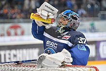 ERC Ingolstadt- Grizzlys Wolfsburg, Eishockey, DEL, Deutsche Eishockey Liga, Vorb., 13.08.2017