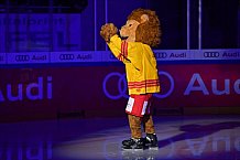 ERC Ingolstadt vs Düsseldorfer EG, DEL, Deutsche Eishockey Liga, Spieltag 37, 12.01.2020