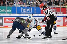 Eishockey, Herren, DEL, Saison 2023-2024, Spieltag 33, ERC Ingolstadt - Eisbären Berlin, 30.12.2023