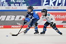 Eishockey, Herren, DEL, Saison 2024-2025, Spieltag 26, ERC Ingolstadt - Iserlohn Roosters, 15.12.2024