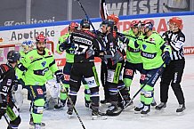 Eishockey, Herren, DEL, Saison 2020-2021, Straubing Tigers - ERC Ingolstadt, 31.01.2021