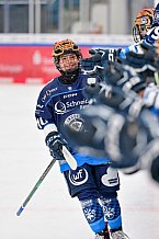 Eishockey, Frauen, DFEL, Saison 2024-2025, ERC Ingolstadt - EC Bergkamener Bären, 05.01.2025