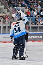 Eishockey, Herren, DEL, Saison 2024-2025, Vorbereitung, ERC Ingolstadt - Dresdner Eislöwen, 18.08.2024