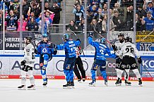 Eishockey, Herren, DEL, Saison 2025-2026, Spiel 16, ERC Ingolstadt - Kölner Haie, 31.10.2025