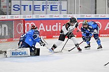 Eishockey, Frauen, DFEL, Saison 2023-2024, ERC Ingolstadt - Amsterdam Tigers, 06.01.2024