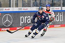 Eishockey, Herren, DEL, Saison 2024-2025, Spieltag 15, ERC Ingolstadt - Augsburger Panther, 03.11.2024
