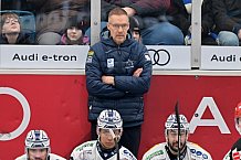 Eishockey, Herren, DEL, Saison 2025-2026, Spiel 44, ERC Ingolstadt - Dresdner Eislöwen, 27.01.2026