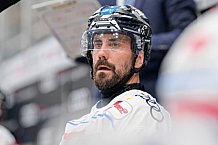 Eishockey, Herren, DEL, Saison 2024-2025, Vorbereitung, ERC Ingolstadt - Dresdner Eislöwen, 18.08.2024