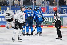 Eishockey, Herren, DEL, Saison 2025-2026, Spiel 16, ERC Ingolstadt - Kölner Haie, 31.10.2025