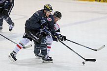 ERC Ingolstadt - Koelner Haie, Eishockey, DEL, Deutsche Eishockey Liga, Spieltag 16, 01.11.2015

