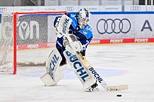 Eishockey, Frauen, DFEL, Saison 2025-2026, ERC Ingolstadt - Eisbären Berlin, 18.01.2026