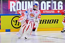 Hockey, Mens, CHL, Season 2025-2026, Regular Season, Round of 16, ERC Ingolstadt - EC Red Bull Salzburg, 12.11.2025