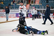 Eishockey, Herren, DEL, Saison 2023-2024, ERC Ingolstadt - Kids on Ice Day, 30.09.2023