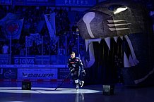Eishockey, Herren, DEL, Saison 2024-2025, Spieltag 49, ERC Ingolstadt - Straubing Tigers, 28.02.2025
