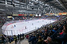 Eishockey, Herren, DEL, Saison 2023-2024, Spieltag 23, ERC Ingolstadt - Straubing Tigers, 01.12.2023
