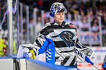 Eishockey, Herren, DEL, Saison 2024-2025, Playoffs Viertelfinale, Spiel 1, Nürnberg Ice Tigers - ERC Ingolstadt, 18.03.2025
