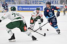 Eishockey, Mens, CHL, Season 2023-2024, ERC Ingolstadt - Färjestad Karlstad, 02.09.2023