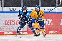 Eishockey, Frauen, DFEL, Saison 2025-2026, Testspiel, ERC Ingolstadt - HC Davos, 14.02.2026