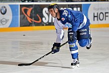 ERC Ingolstadt vs Schwenninger Wild Wings, Eishockey, DEL, Deutsche Eishockey Liga, Spieltag 22, 04.12.2016