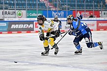 Eishockey, Frauen, DFEL, Saison 2023-2024, ERC Ingolstadt - Mad Dogs Mannheim, 18.02.2024