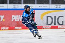 Eishockey, Frauen, DFEL, Saison 2025-2026, Testspiel, ERC Ingolstadt - HC Davos, 14.02.2026