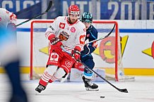 Hockey, Mens, CHL, Season 2025-2026, Regular Season, Game Day 6, ERC Ingolstadt - Odense Bulldogs, 15.10.2025